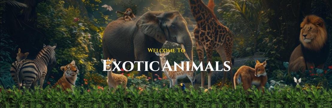 Exotic Animals Miami