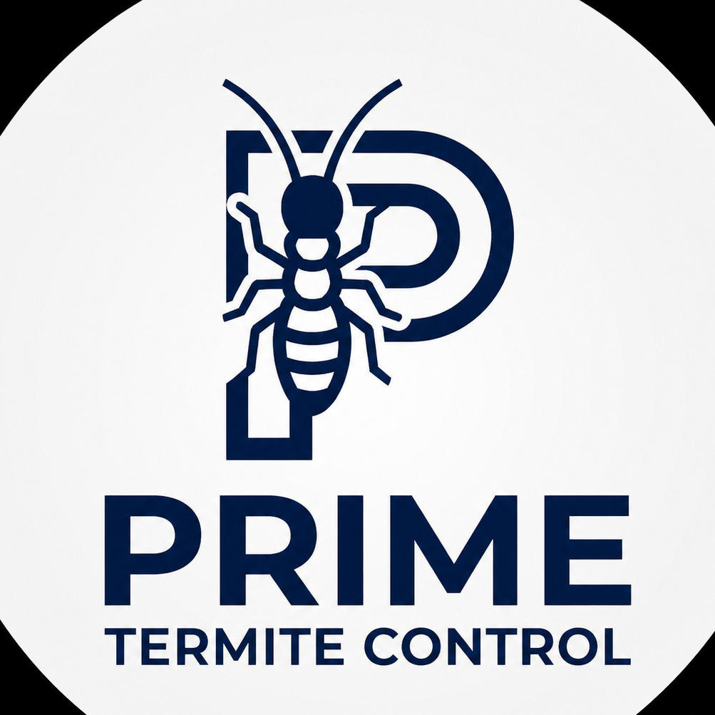 Termite Control  Lahore