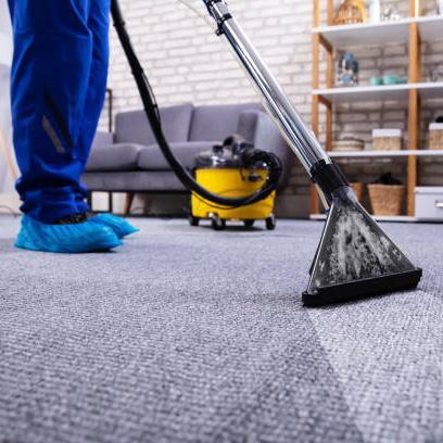 Carpet North