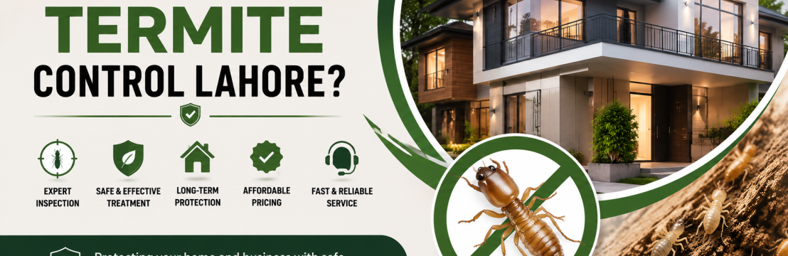 Termite Control Lahore